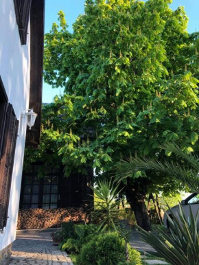 Echo Apartman Tihany